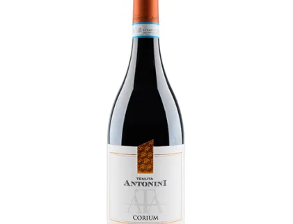 Montepulciano D’Abruzzo DOC 13,5% CANTINA ANTONINI
