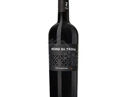 Nero di Troia I.G.T. Puglia 13,5% CANTINA TERRECARSICHE